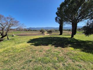 Villa in Le Luc with Pool & Vineyard Views - Le Luc - 6