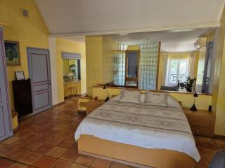 Villa in Le Luc with Pool & Vineyard Views - Le Luc - 9