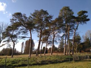 Studio in Belgium near Ardennes Forest, cleaning included - Durbuy - 8