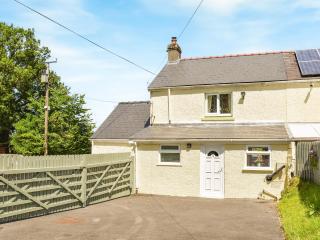 Hengegin - Uk39874 - Llandybie - 9