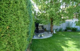 Pet Friendly Home In Bad Harzburg - 2