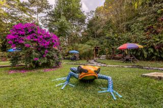 Ecohotel Piedemonte - Salento - 9