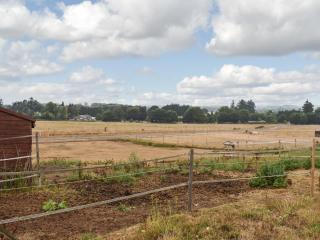 South Wing Coldharbour Park Farm - Rake - 0