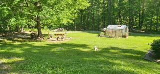 D&B Happy Campers - 3