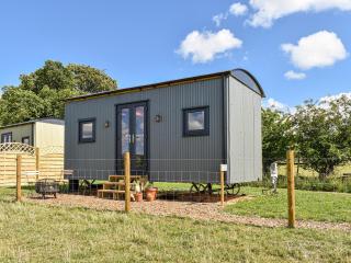 Forget-Me-Not - Uk37646 - Bradbourne - 0