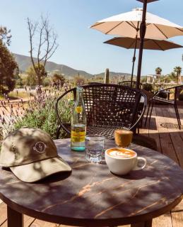 Mi Casa en el Valle - Ensenada - 6