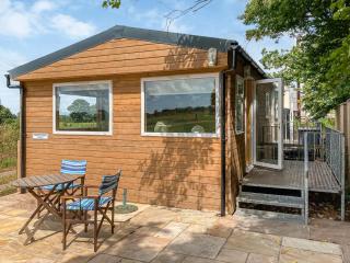 Langston Farm Chalet - Shillingstone - 0