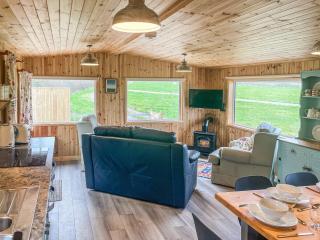 Langston Farm Chalet - Shillingstone - 8