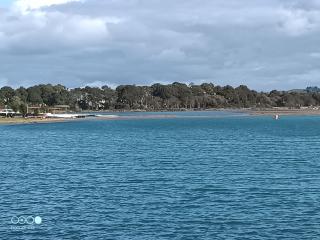 Cozy spacious estuary townhouse - Napier - 8