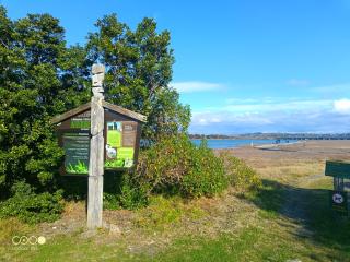Cozy spacious estuary townhouse - Napier - 1