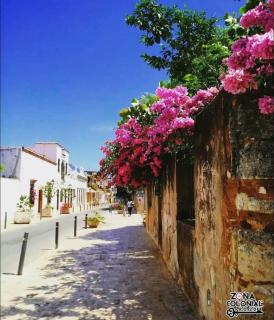 The colonial corner - Calero - 0