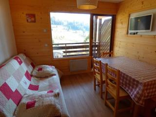 Chaleureux studio 5 pers, vue sur pistes, Le Grand-Bornand - FR-1-458-236 - Le Grand-Bornand - 0