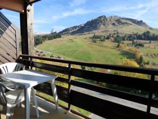 Chaleureux studio 5 pers, vue sur pistes, Le Grand-Bornand - FR-1-458-236 - Le Grand-Bornand - 5