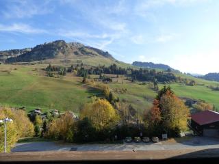 Chaleureux studio 5 pers, vue sur pistes, Le Grand-Bornand - FR-1-458-236 - Le Grand-Bornand - 4