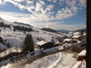 Chaleureux studio 5 pers, vue sur pistes, Le Grand-Bornand - FR-1-458-236 - Le Grand-Bornand - 2