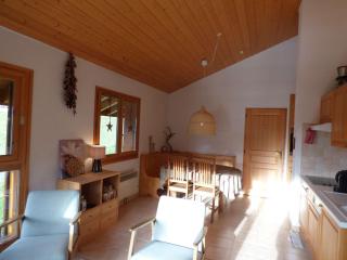 Beau 3 pièces 48m², 6 pers, proche télécabines - FR-1-458-235 - 8