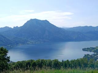 Nähe Traunsee-Attersee OGO - Rutzenmoos - 3