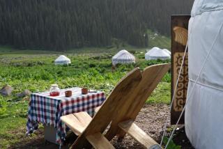 Ernis Eco Yurt Camp - Altynarasan - 9