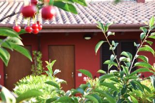 Country House Ciliegia Rossa - Colonnella - 6