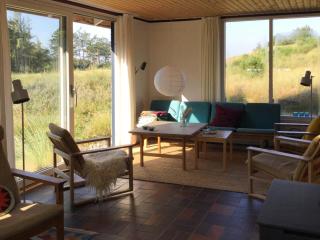 Summer House In The Dunes Near The West Sea - Saltum - 0