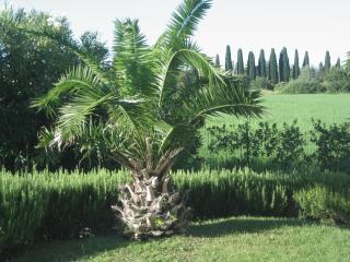 Holiday home with Nicely Decorated Interior near lake Garda - 5