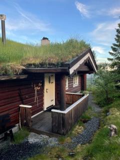 Cozy, Magical Mountain Cabin With Trails - Etnedal - 0