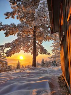 Cozy Private Holiday Home On Lifjell - 8