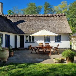 Thatched Cottage On Large Natural Plot - Nykøbing Sjælland - 0