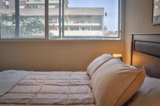 HOM I Departamento Cerca del Metro Nunoa 2PAX - Santiago - 7