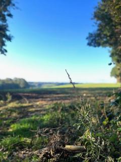 Comfortable Summer House In Aabenraa - 2