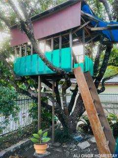Ali Onga Homestay di Kota Batusangkar - Batusangkar - 5