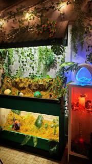 Jurassic Lodge, le repaire des dinosaures - 9