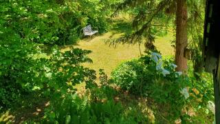 Colour Joy In Thatched House Of The North Coast - 5