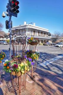 Cosy Ground Floor Walk to Adelaide Oval, City, Zoo & More - Adélaïde - 1