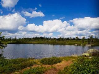 Charming Small Cabin At The Top Of Blefjell - 1