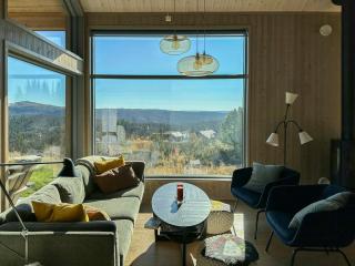 Architect Designed Cabin With Panoramic Views - Ål - 0