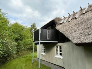 Cozy Thatched House At Høve Beach - 1