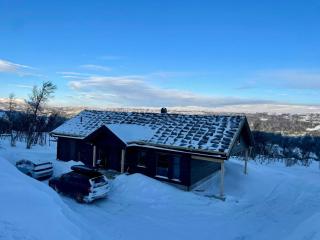 Mountain Cabin At Hardangervidda - 1