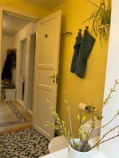 Lovely Plot With Sunroom And Green Surroundings - 4
