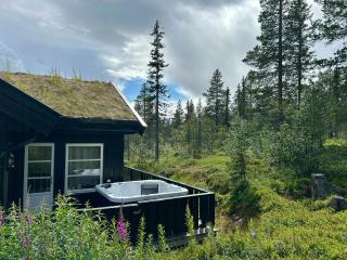 Ski Holiday Or Summer Adventure Right By Trysil - Trysil - 0