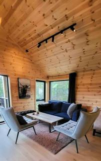 Cabin With Sauna In Scenic Sirdal - 6