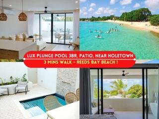 New CHIC 3BR Villa Walk to Beach Pool & Terrace - Saint James - 0