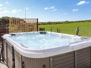 Trem Nant - Aberdaron - 0