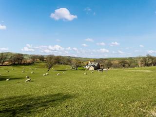 Pyllau Gleision - Abergele - 8