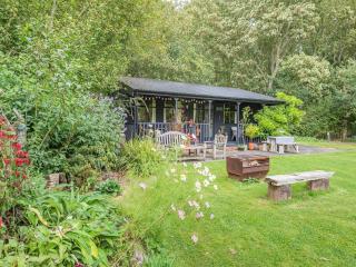 Peaceful Woodland Lodge - Cornisholme - 0