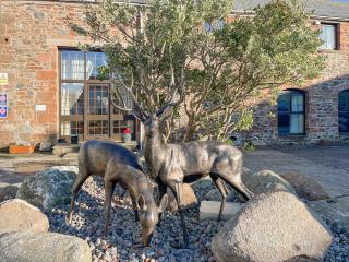 Eight Byre - Uk48913 - Allonby - 9