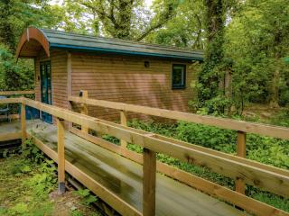 Woodpecker - Uk43451 - Hayle - 7