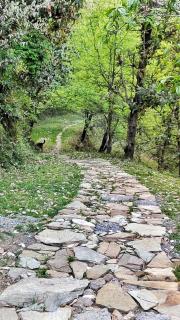Amulyam Bliss Resort Mukteshwar - Mukteswar - 2