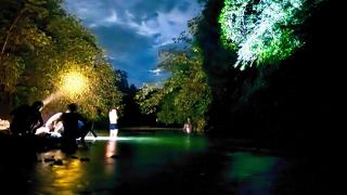 Batu Kapal Guest House & Jungle trekking - Bukit Lawang - 6