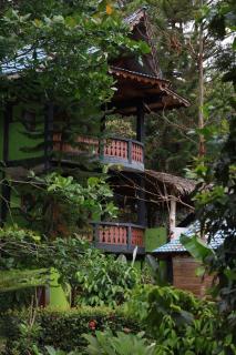 Batu Kapal Guest House & Jungle trekking - Bukit Lawang - 8